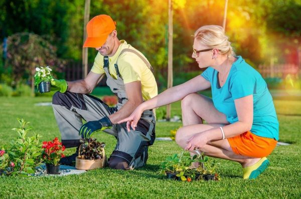 Assistance with household tasks gardening